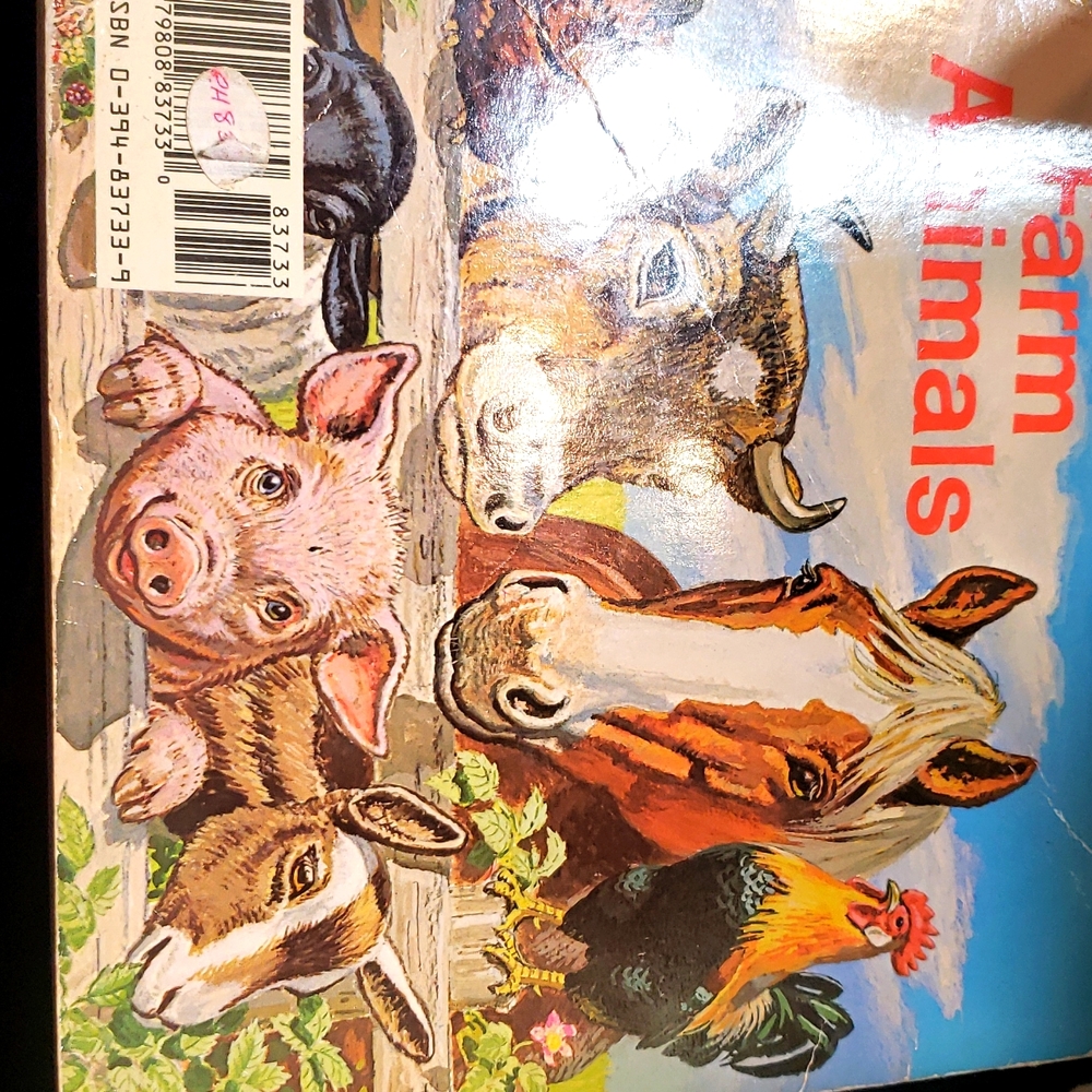 Children's Book